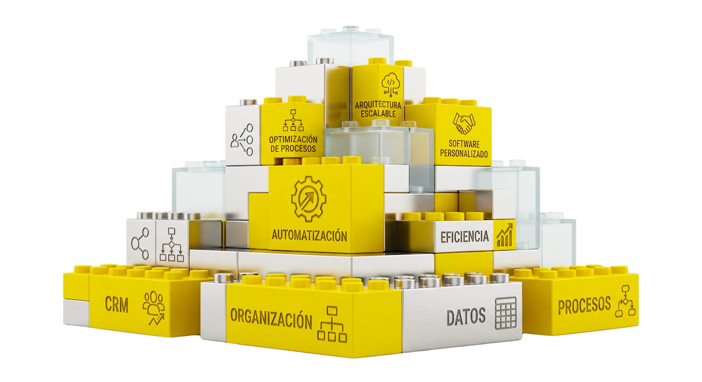 La base: orden y criterio